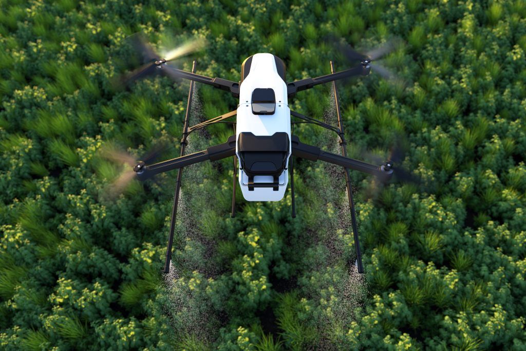 Inventarios Forestales con Drones - Inteligencia Artificial para el Conteo de Individuos y Biomasa